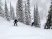 Skigebiete für Könner und Freeriding USA – Könner, Freerider Snowbasin