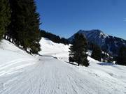 Leichte Gammeringabfahrt