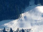 Schusterbühellift - Tellerlift