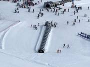 Alfombra El Bosque - Förderband/Zauberteppich mit Überdachung