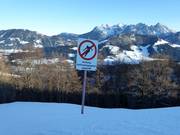 Schutz des Aufforstungsgebiets