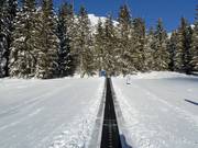 Förderband Thaneller