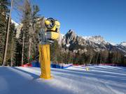 Beschneiung bei Ciampedie