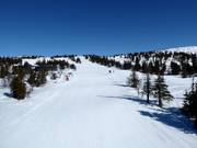 Abfahrt Kvitfjelløypa