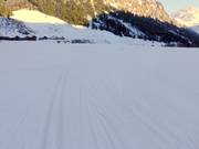 Die Loipen in Steg sind für den klassischen und den Skatingstil gespurt