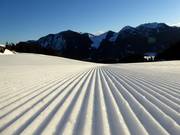 Frisch präparierte Piste im Skigebiet Spitzingsee-Tegernsee