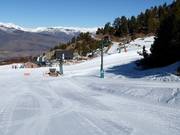 Debutants Coma Oriola - Tellerlift