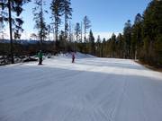 Leichte und breite Waldabfahrt