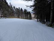 Ganz leichte Piste South Road