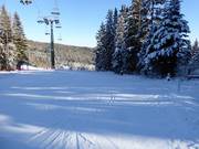 Übungshang auf der Mönichkirchner Schwaig