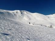 Freeridegelände am Fulseck