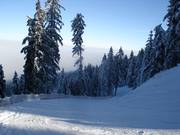 Maxweg auf der Talabfahrt