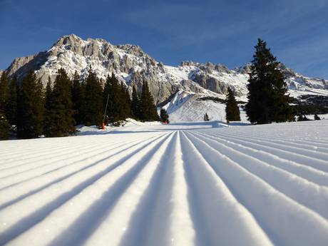 Pistenpräparierung Wettersteingebirge und Mieminger Kette – Pistenpräparierung Ehrwalder Alm – Ehrwald