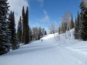 Leichte Teton Vista Traverse
