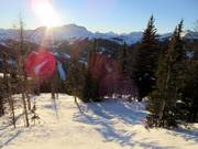 Waldabfahrt am Goat´s Eye Mountain