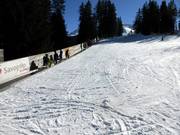 Tipp für die Kleinen  - Tigignas-Park