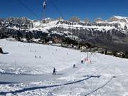 Tannenboden - Schlepplift mit T-Bügel/Anker