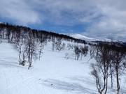 Freier Skiraum im unteren Teil des Skigebiets