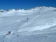 Schafalplift - Tellerlift