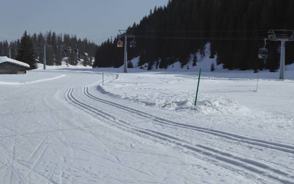 Langlauf Flims Laax Falera – Langlauf Laax/Flims/Falera