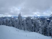 Blick zum Red Mountain