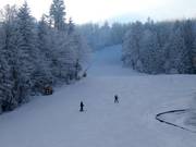 Leichte Piste an der Hohenbogenbahn 