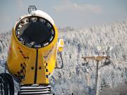 Eine von sieben Schneekanonen
