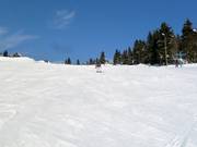 Piste 19: Neklid - Karásek I.