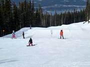 Big Easy Terrain Garden (Blackcomb Mountain)