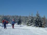 Langläufer am Kaltenbronn