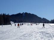 Für Anfänger: Flache und breite Roßalm-Abfahrt (Winklmoosalm)