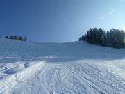 Blick von unten auf die Fuchs-Piste
