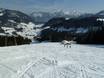 Chiemgauer Alpen: Testberichte von Skigebieten – Testbericht Heutal – Unken