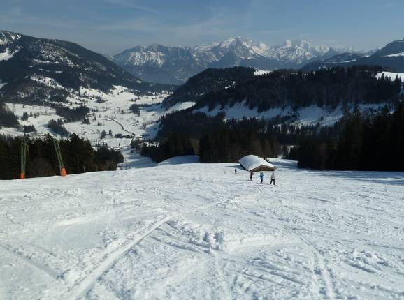 Piste am Wildalmlift