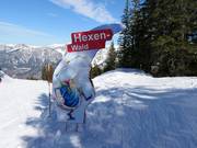 Tipp für die Kleinen  - Hexen-Wald