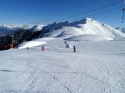 Kinder im Panoramalift