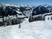 Varianten am Sunliner