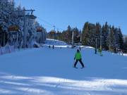 Leichte Piste Dámská