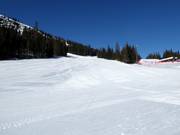 Oberer Teil der Olympiaabfahrt