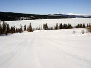 Leichte Abfahrt am Tellerlift Galagynten