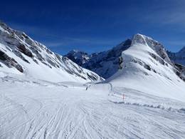 First – Grindelwald