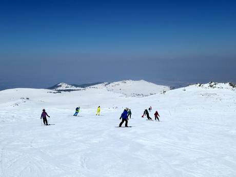 Osteuropa: Testberichte von Skigebieten – Testbericht Vitosha/Aleko – Sofia