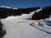 Ptarmigan am Whistler Mountain