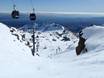 Skigebiete für Könner und Freeriding Nordinsel – Könner, Freerider Whakapapa – Mt. Ruapehu