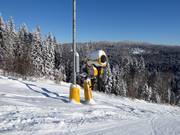 Leistungsfähige Schneekanone am Kißlingerlift