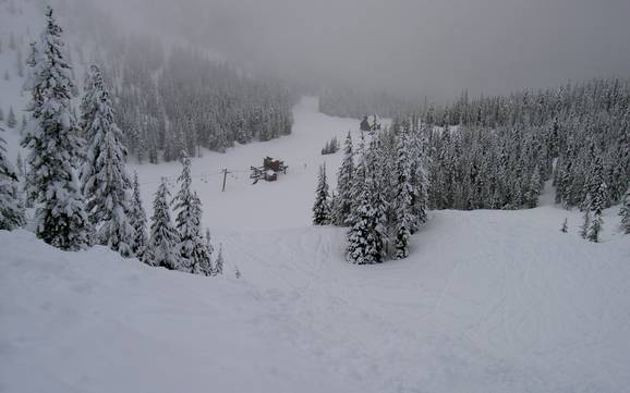 Cascade Range: Größe der Skigebiete – Größe Mt. Hood Skibowl
