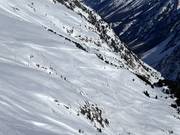 Blick auf den 5 km langen Rodelweg