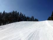 Im unteren Teil gibt es auch mittelschwere Abfahrten