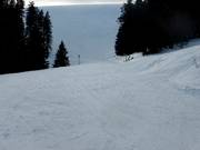 Kaltwasserabfahrt vor der Einmündung in die Donauwellenabfahrt