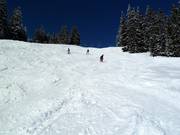 Varianten am Sunliner